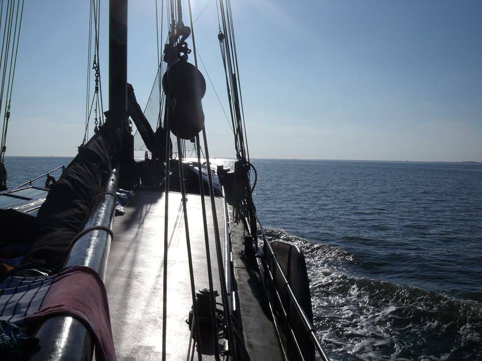 Thornas's profile header