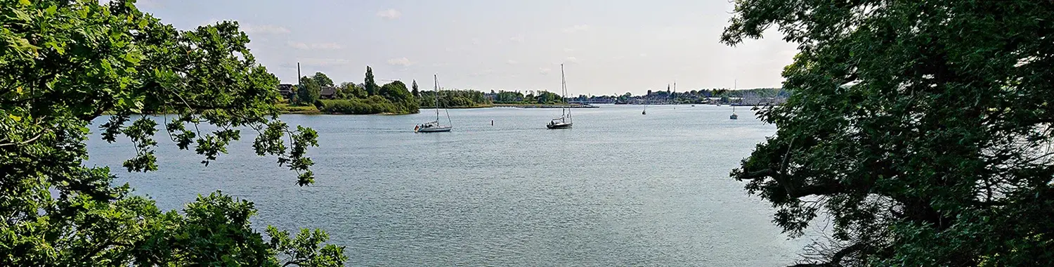 dj4ram's profile header