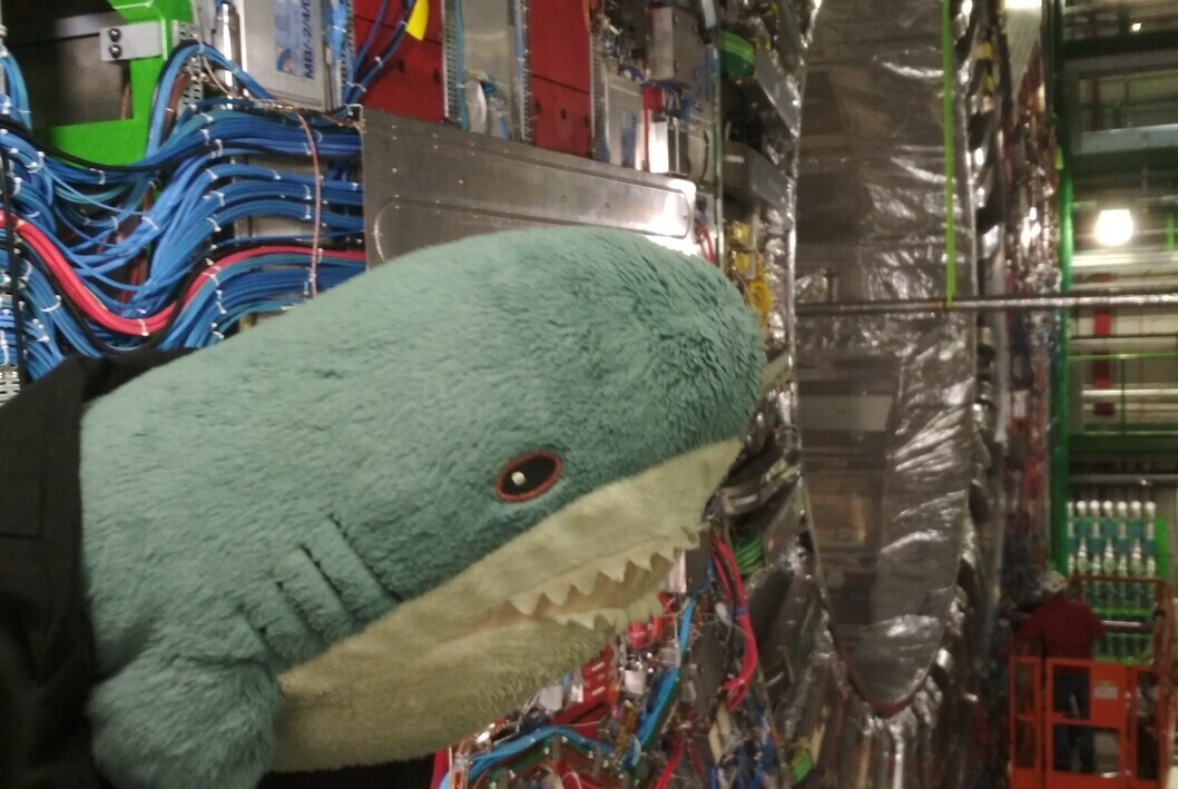 cccpresser's profile header