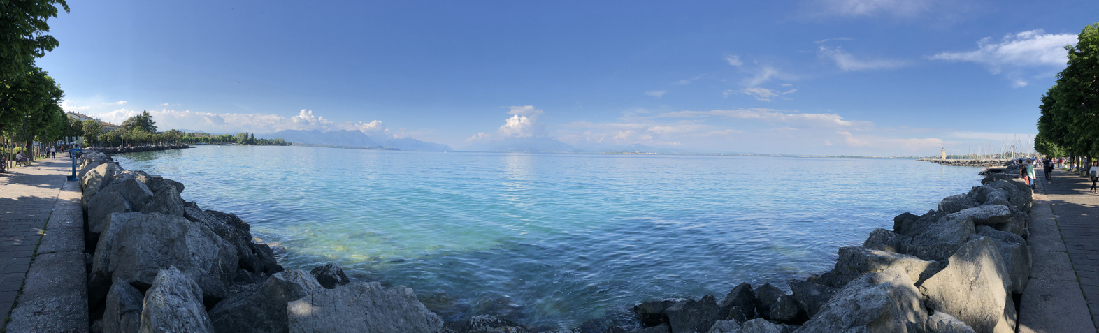 metawops's profile header