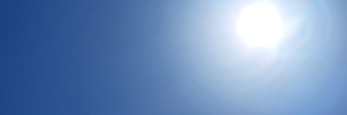 alex_'s profile header