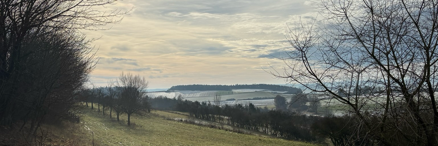 dd1mat's profile header