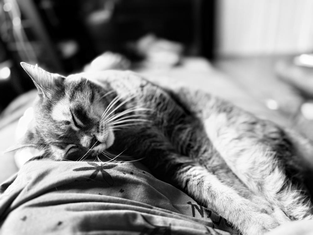 kimar's profile header